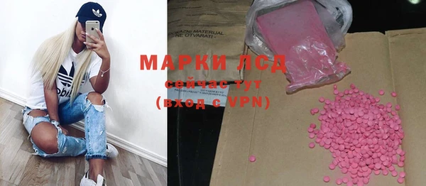 стаф Алексин