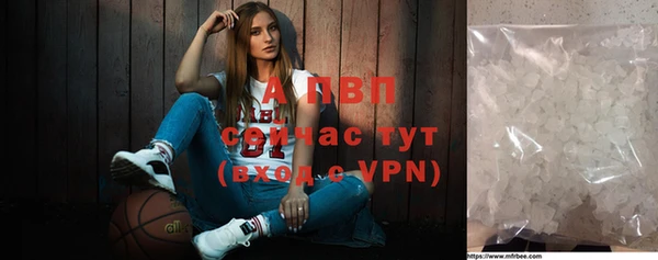 стаф Алексин