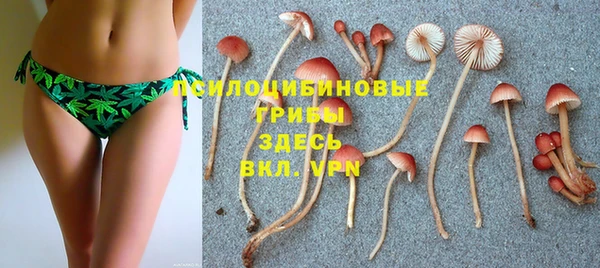 стаф Алексин