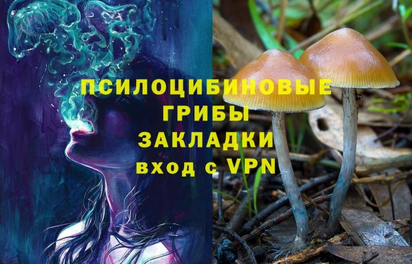 прущий лед Алексеевка